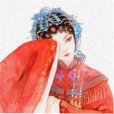 读者木樨头像